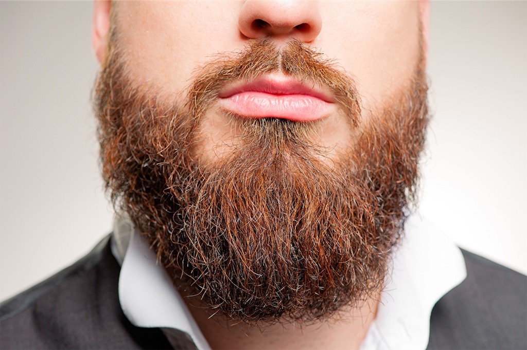 f:id:mutsukichikun:20190428073544j:image