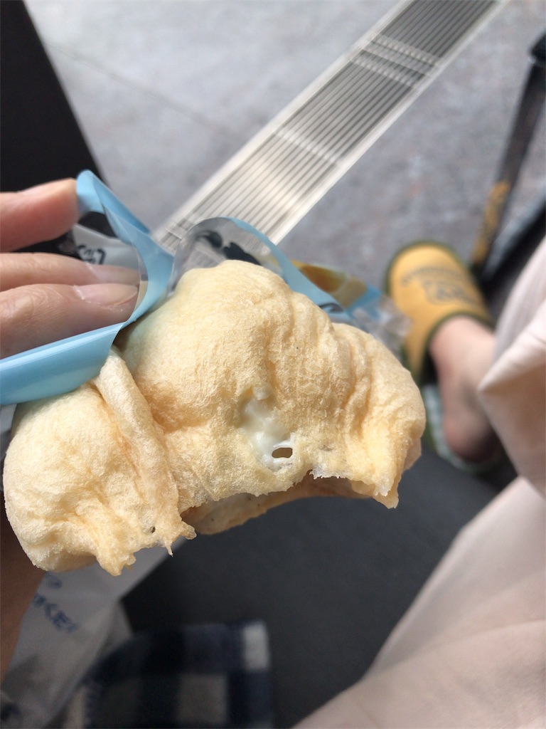 f:id:mutsukichikun:20190501151817j:image