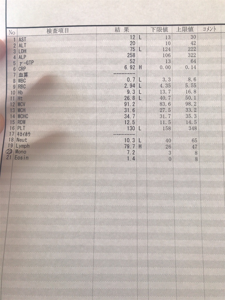 f:id:mutsukichikun:20190502090831j:image