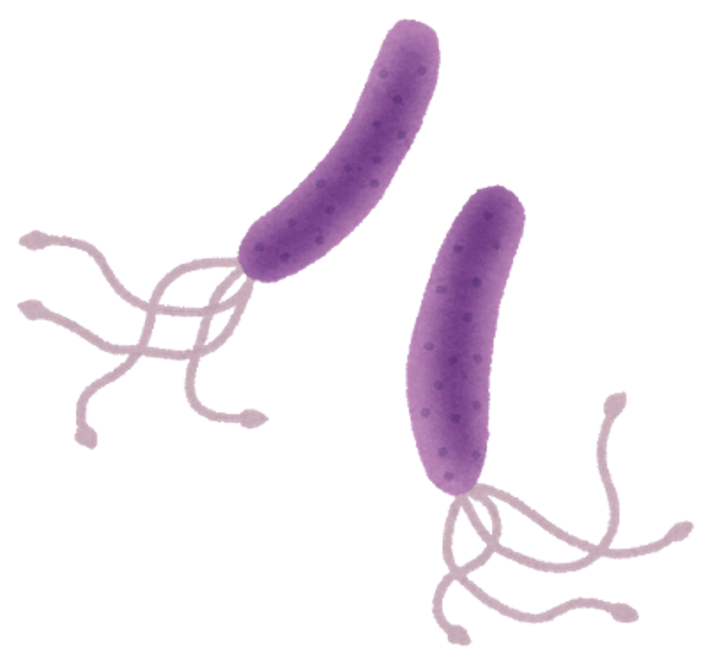 f:id:mutsukichikun:20190516090733p:image