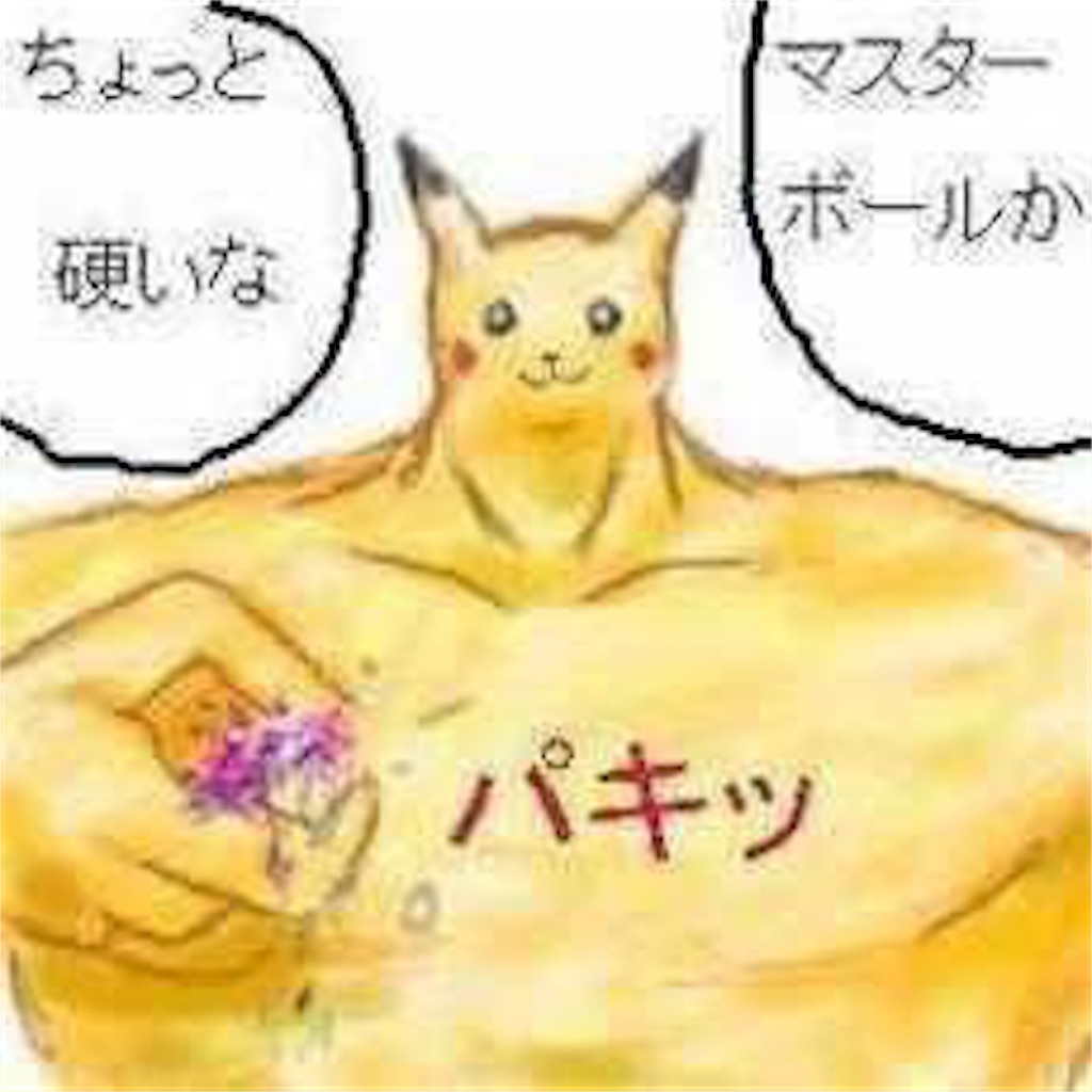 f:id:mutsukichikun:20190518161910j:image