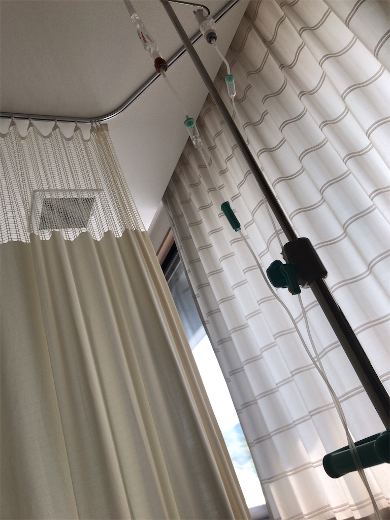 f:id:mutsukichikun:20190519224938j:image