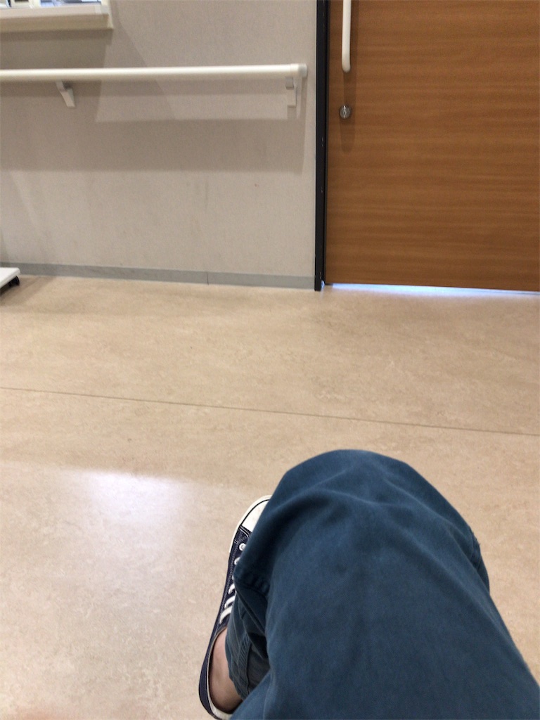 f:id:mutsukichikun:20190525132345j:image