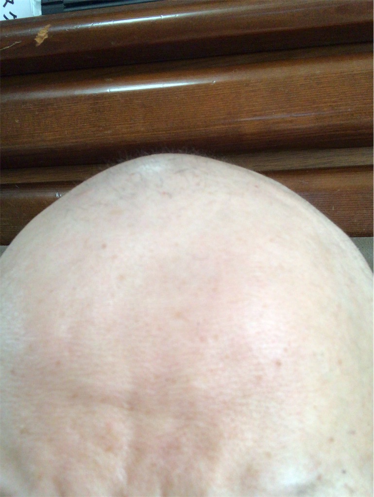 f:id:mutsukichikun:20190604120715j:image