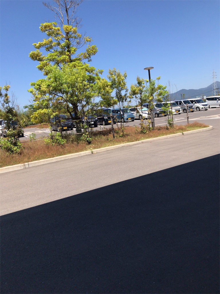 f:id:mutsukichikun:20190606223417j:image