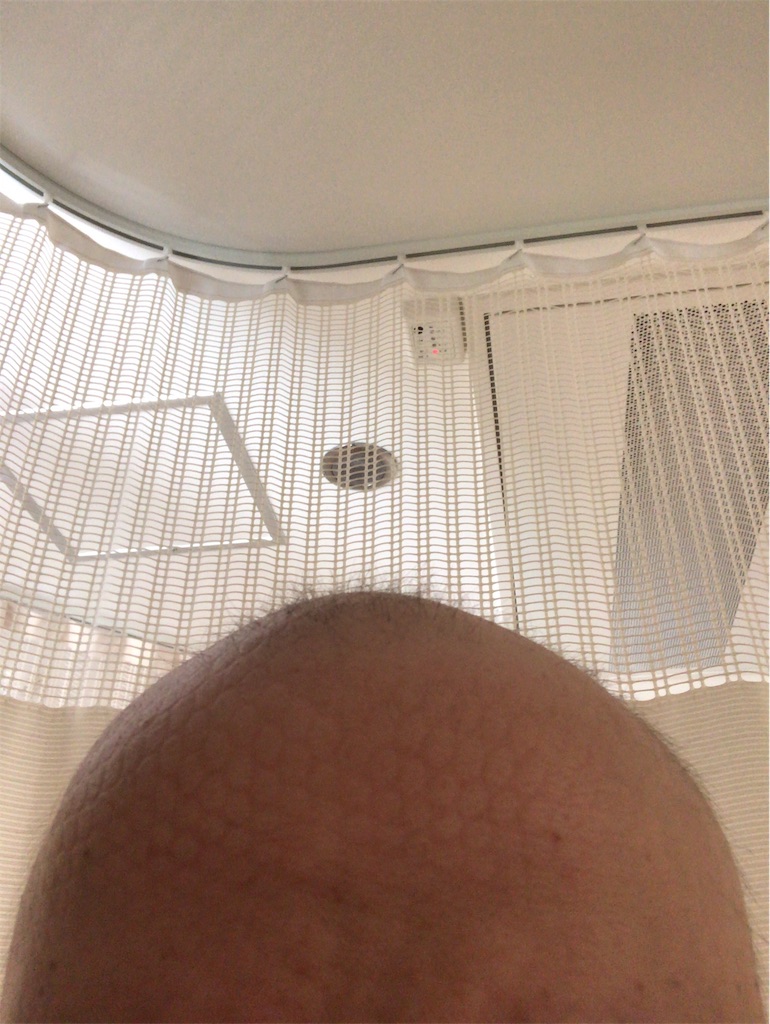 f:id:mutsukichikun:20190625084733j:image