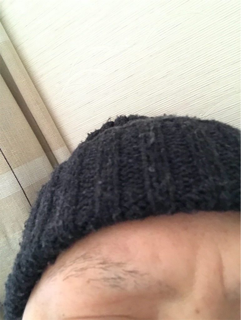 f:id:mutsukichikun:20190625084903j:image