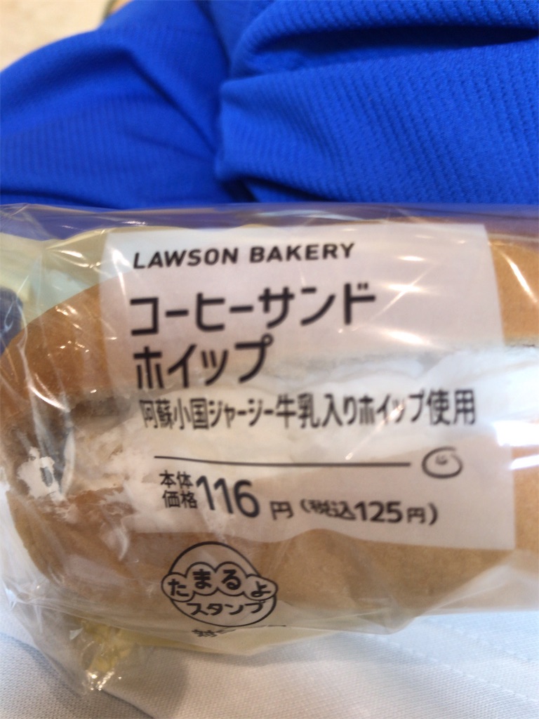 f:id:mutsukichikun:20190702081643j:image