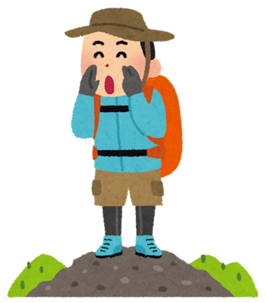 f:id:mutsukichikun:20190706112831p:image