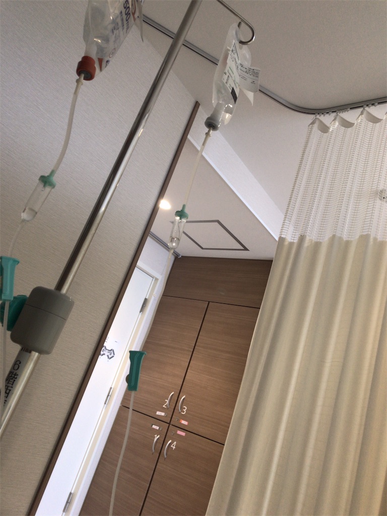 f:id:mutsukichikun:20190721122928j:image