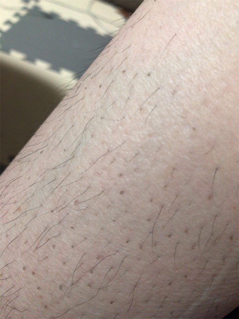 f:id:mutsukichikun:20190801021128j:image