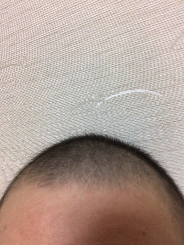 f:id:mutsukichikun:20190801021609j:image