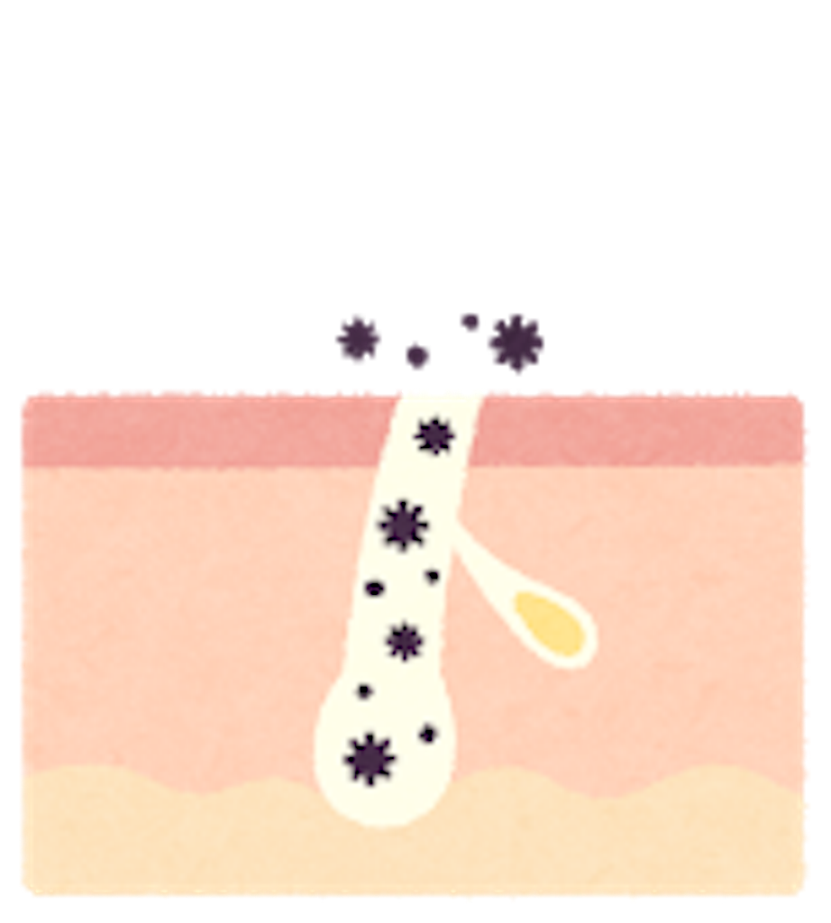 f:id:mutsukichikun:20190805191747p:image