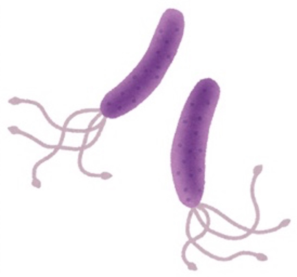 f:id:mutsukichikun:20200214000605j:image