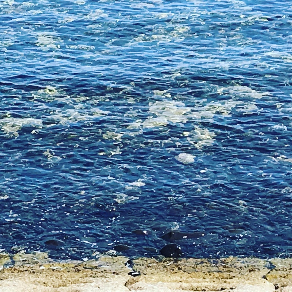 f:id:mutsukichikun:20200606223732j:image