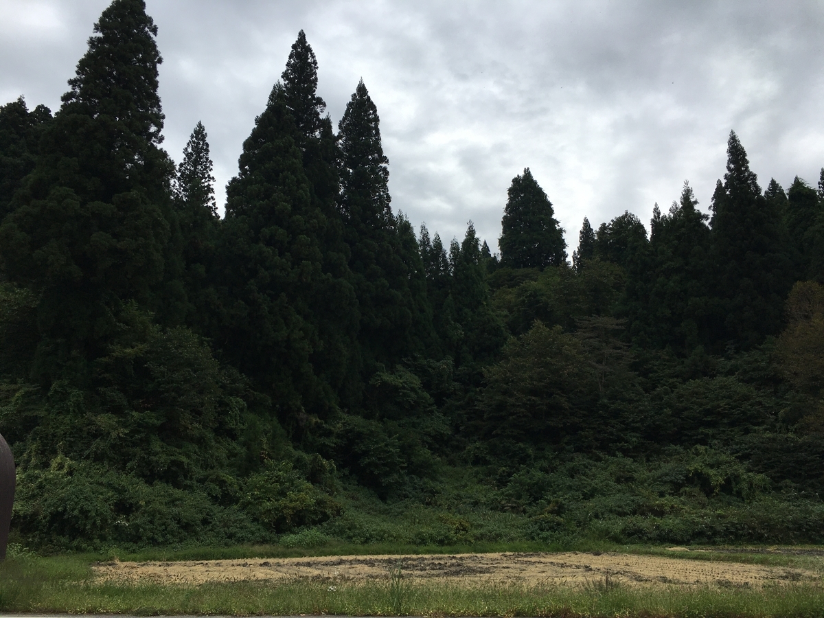 f:id:mutsukinoie:20190930122818j:plain f:id:mutsukinoie:20190930122818j:plain