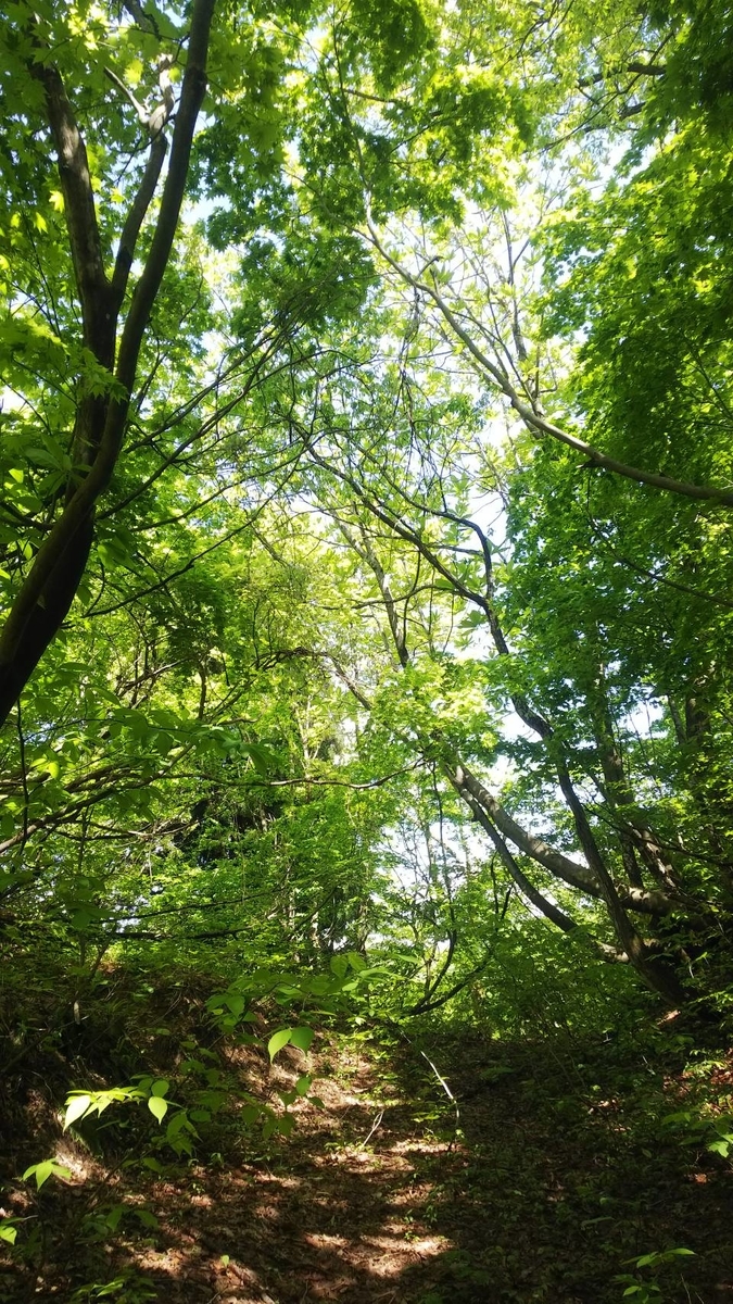 f:id:mutsukinoie:20200516212045j:plain f:id:mutsukinoie:20200516212045j:plain