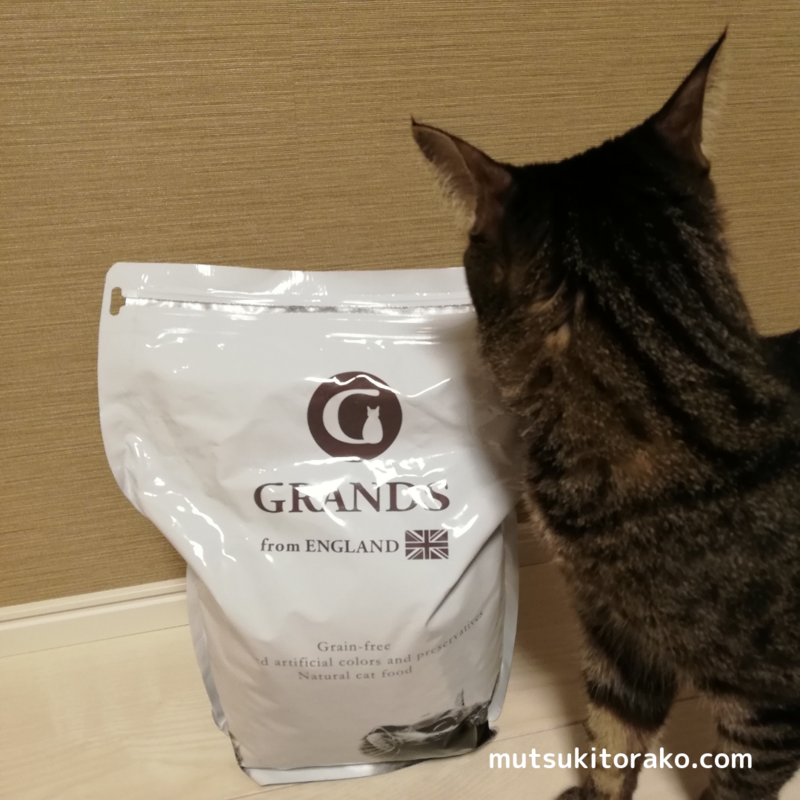 GRANDS(グランツ)キャットフードの香りに引き寄せられる猫