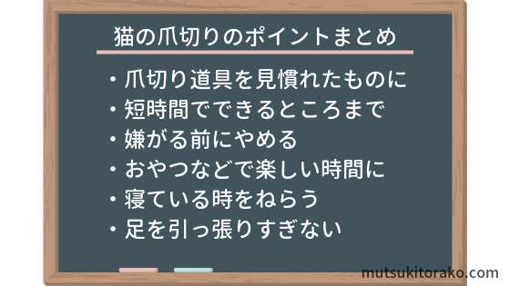 猫の爪切りのポイントまとめ