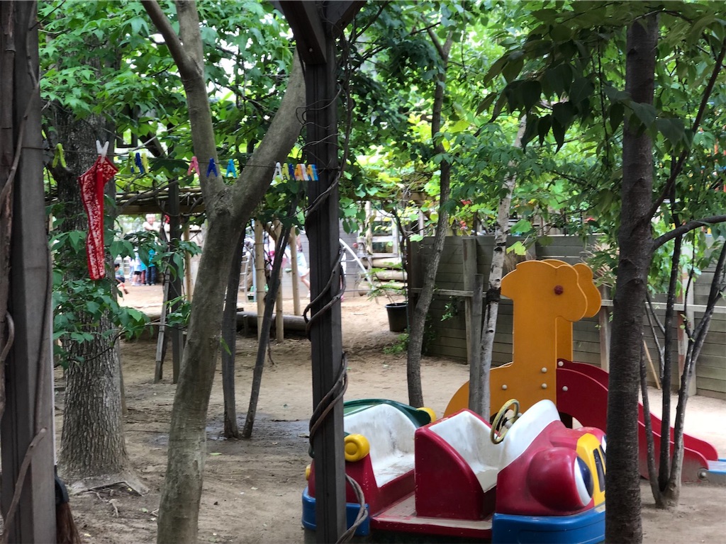 f:id:mutsumiabe501461:20190621133747j:image