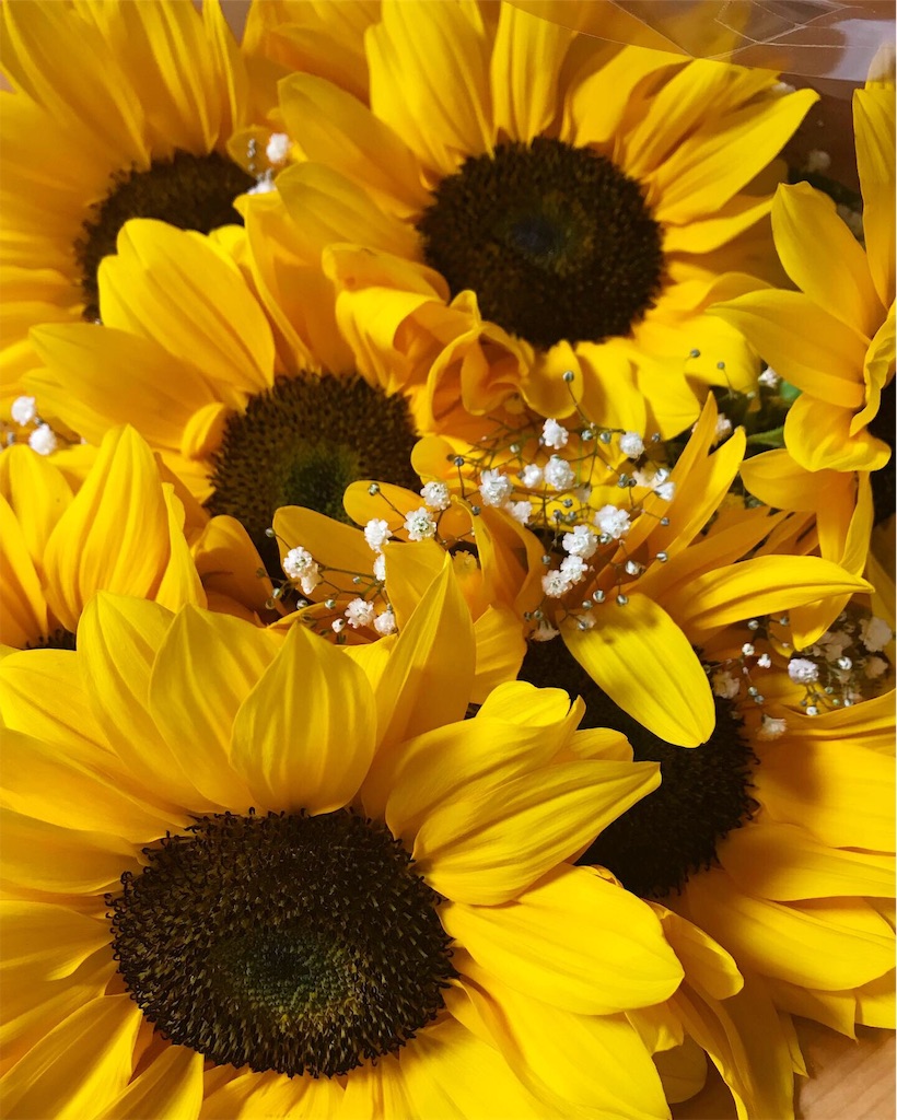 f:id:mutsumiabe501461:20190710144101j:image
