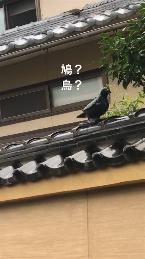 f:id:mutsumiabe501461:20190719161417p:image