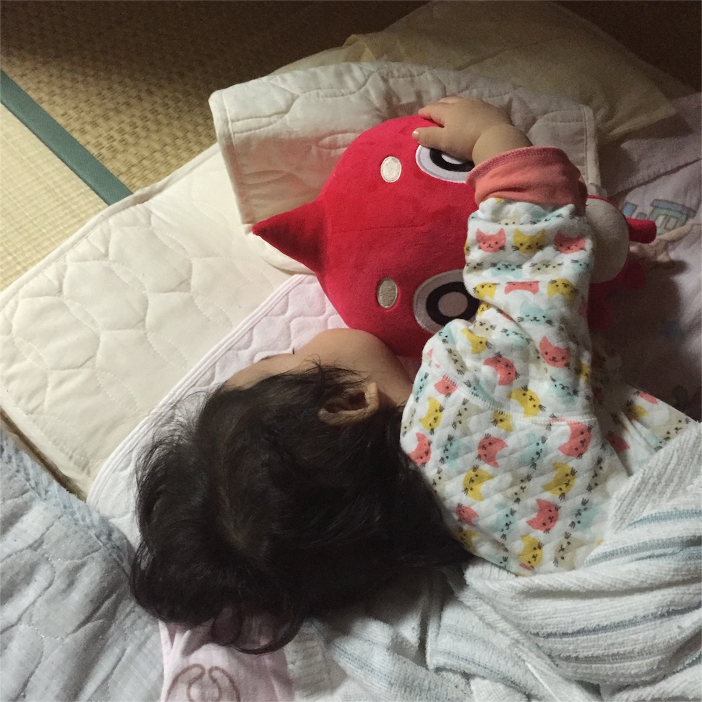 f:id:mutsumin1019:20161108084842j:image