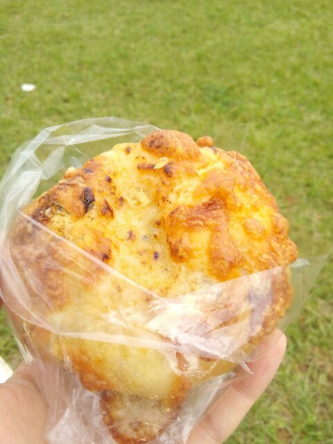 f:id:mutsumin33:20170107212059j:image