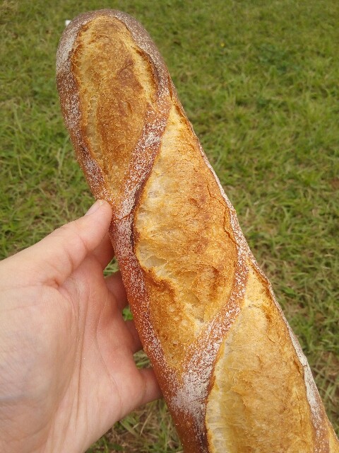 f:id:mutsumin33:20170107212341j:image