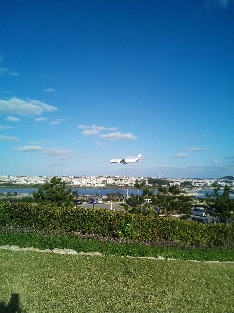 f:id:mutsumin33:20180104191949j:image f:id:mutsumin33:20180104191949j:image