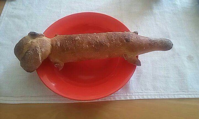 宇地泊・sourireの干支にちなんだパン 沖縄パン日誌