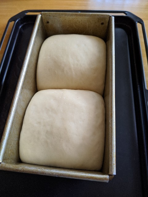 f:id:mutsumin33:20200716083143j:image f:id:mutsumin33:20200716083143j:image