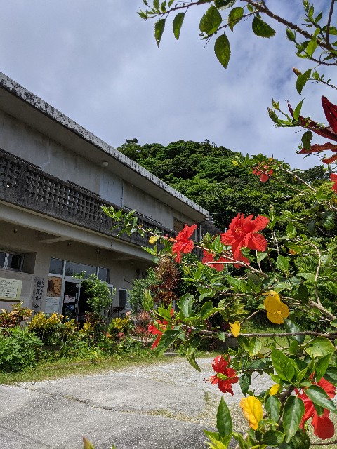 f:id:mutsumin33:20220410180957j:image
