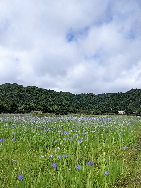 f:id:mutsumin33:20220413211849j:image