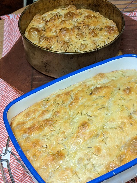 f:id:mutsumin33:20250802154632j:image