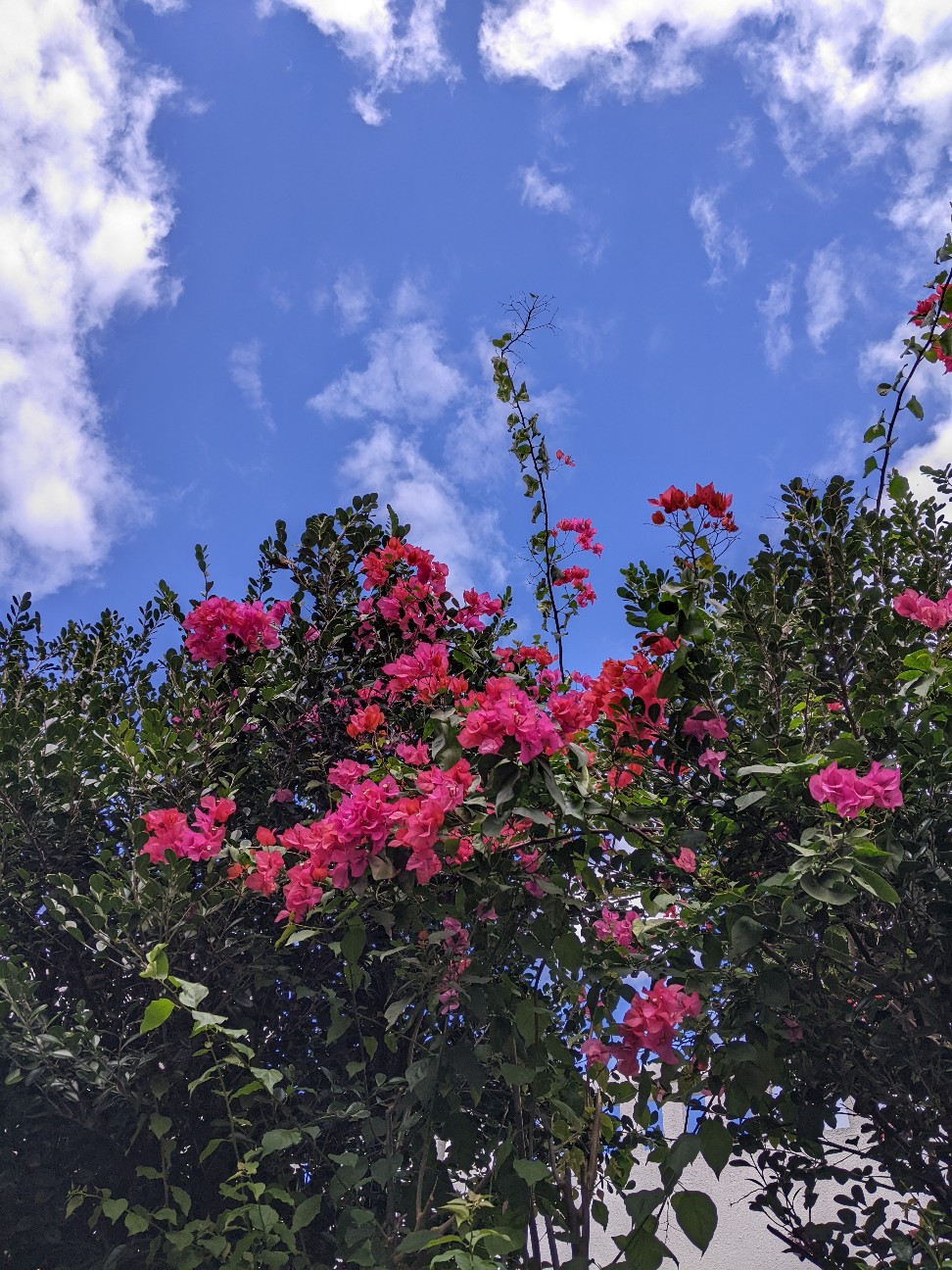 f:id:mutsumin33:20251231125640j:image f:id:mutsumin33:20251231125640j:image