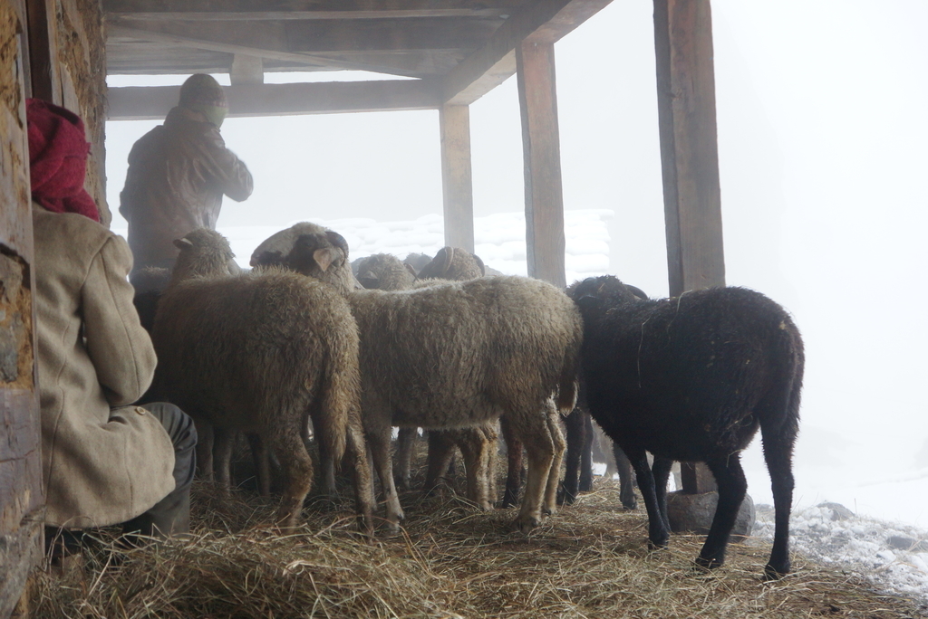 f:id:mutsumiumi:20190122014714j:plain