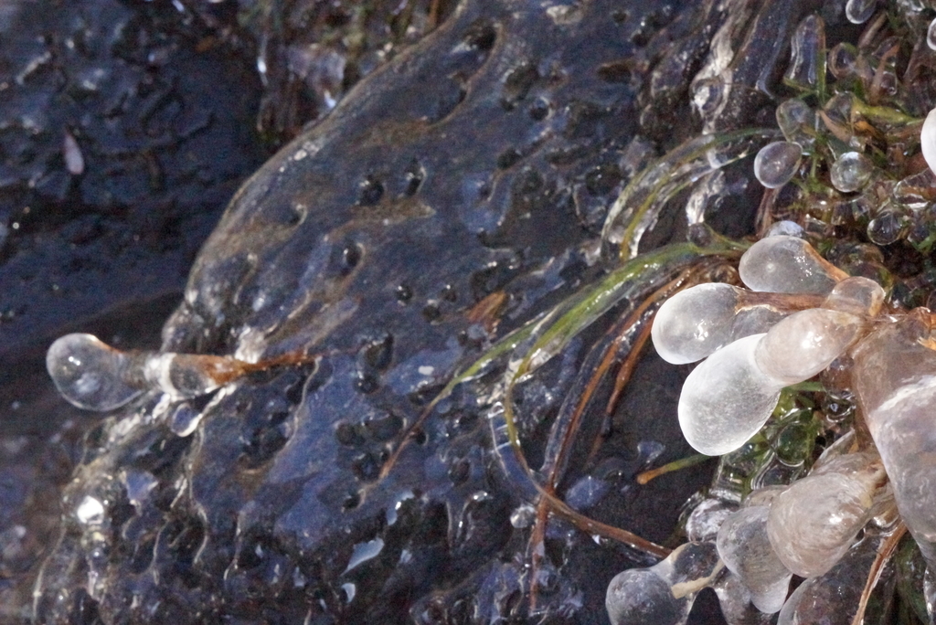 f:id:mutsumiumi:20190122021302j:plain