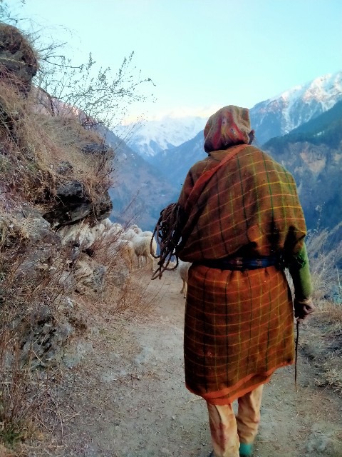 f:id:mutsumiumi:20200217232217j:image