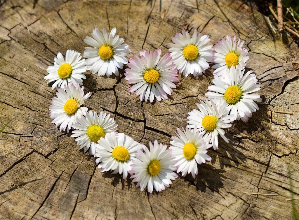 f:id:mutuka0610:20200402174655j:image f:id:mutuka0610:20200402174655j:image