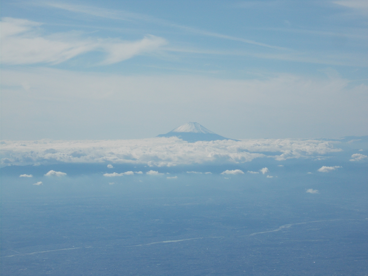 f:id:mutuki_2010:20191023125024j:plain