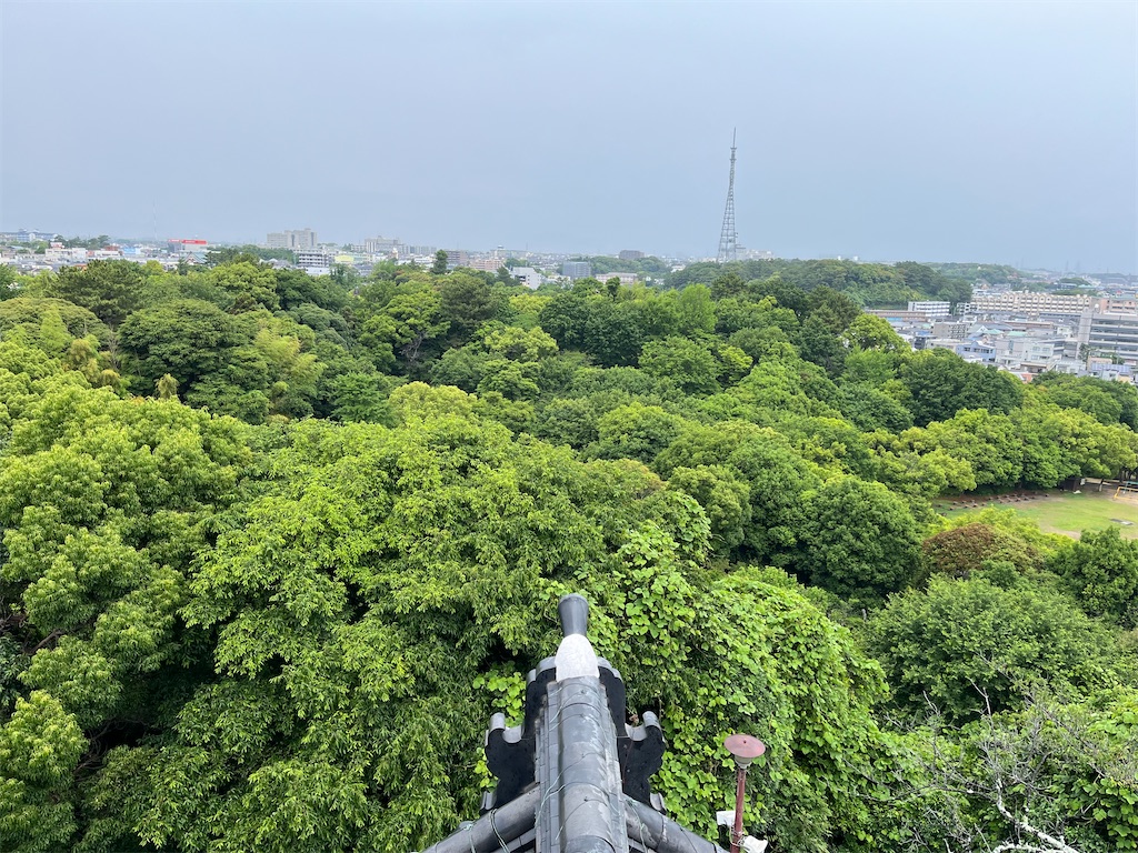 f:id:mutukoku:20250601232024j:image