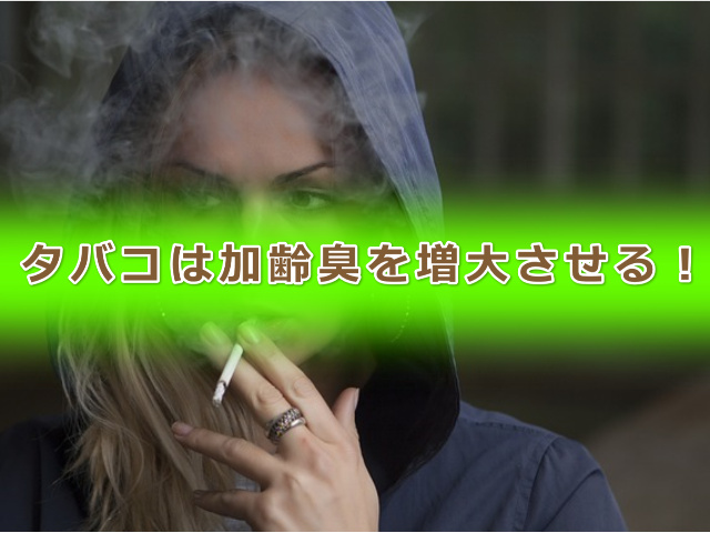 f:id:muu-fa:20181108124932j:plain f:id:muu-fa:20181108124932j:plain