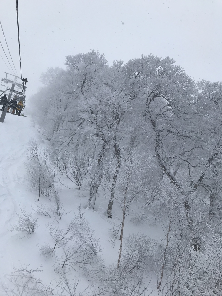 f:id:muu000:20200206010818j:plain