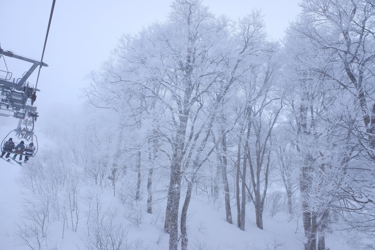 f:id:muu000:20200206012244j:plain