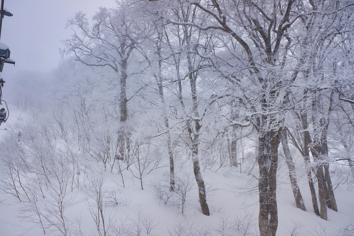 f:id:muu000:20200206012300j:plain