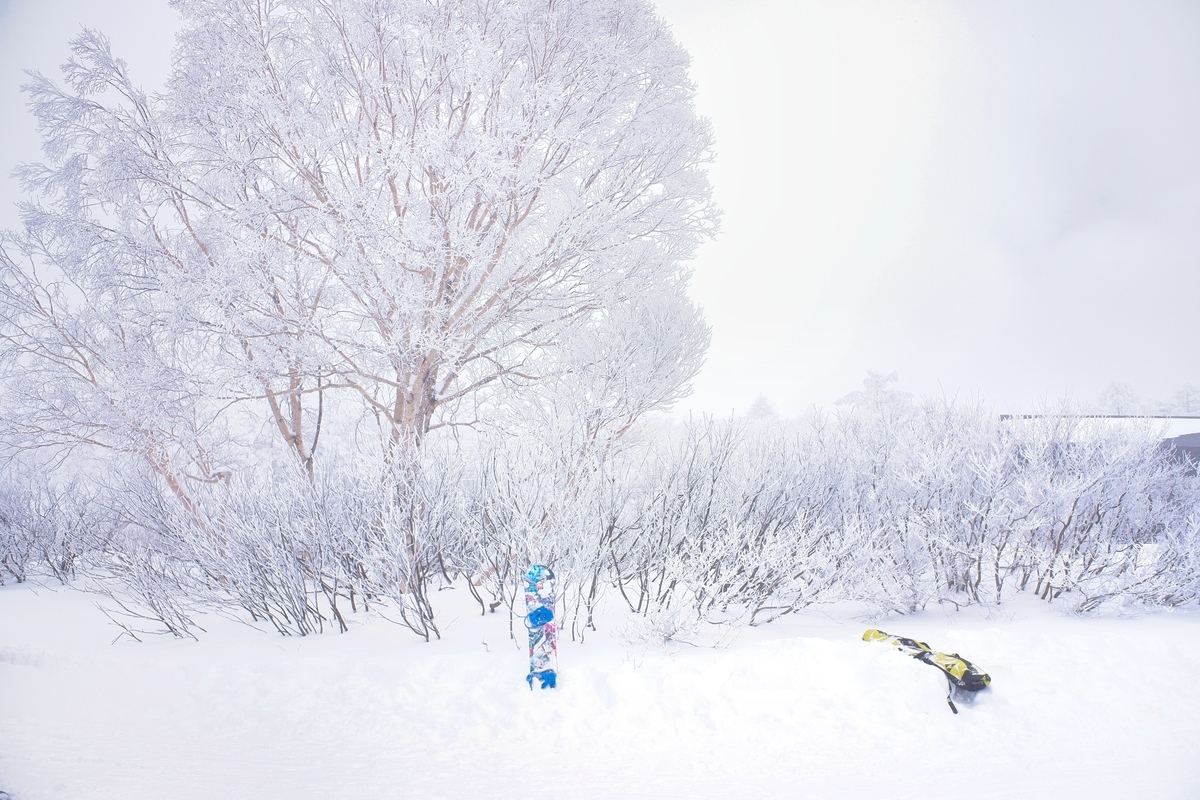 f:id:muu000:20200206012327j:plain