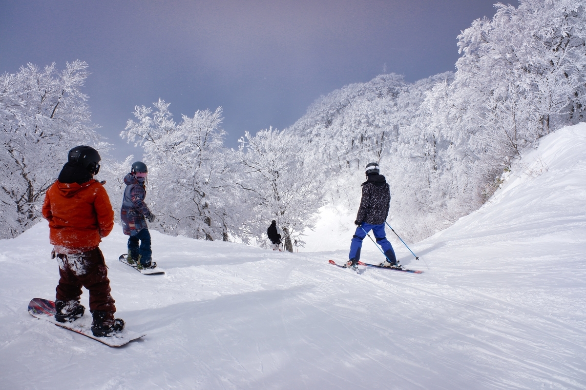 f:id:muu000:20200206012412j:plain