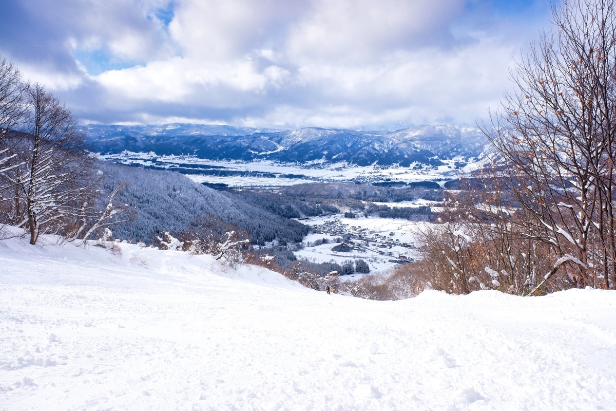 f:id:muu000:20200206012424j:plain