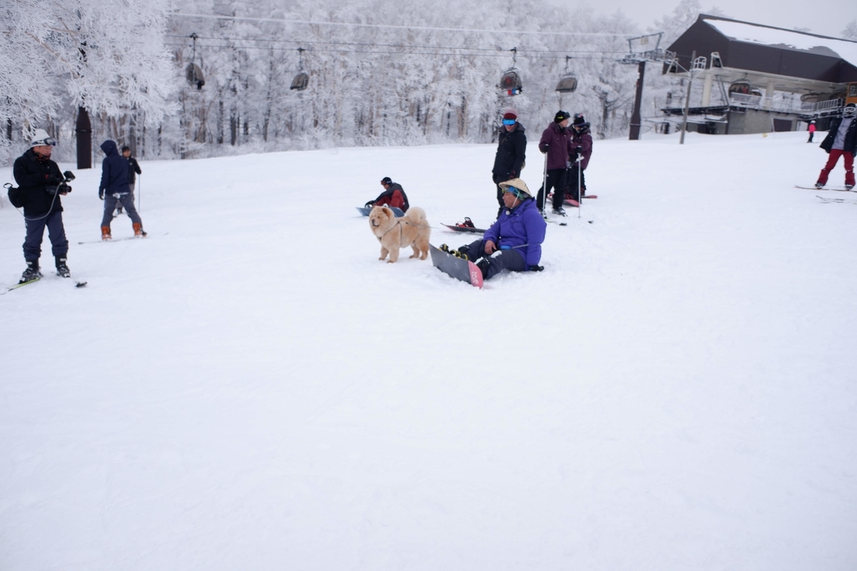 f:id:muu000:20200206012437j:plain